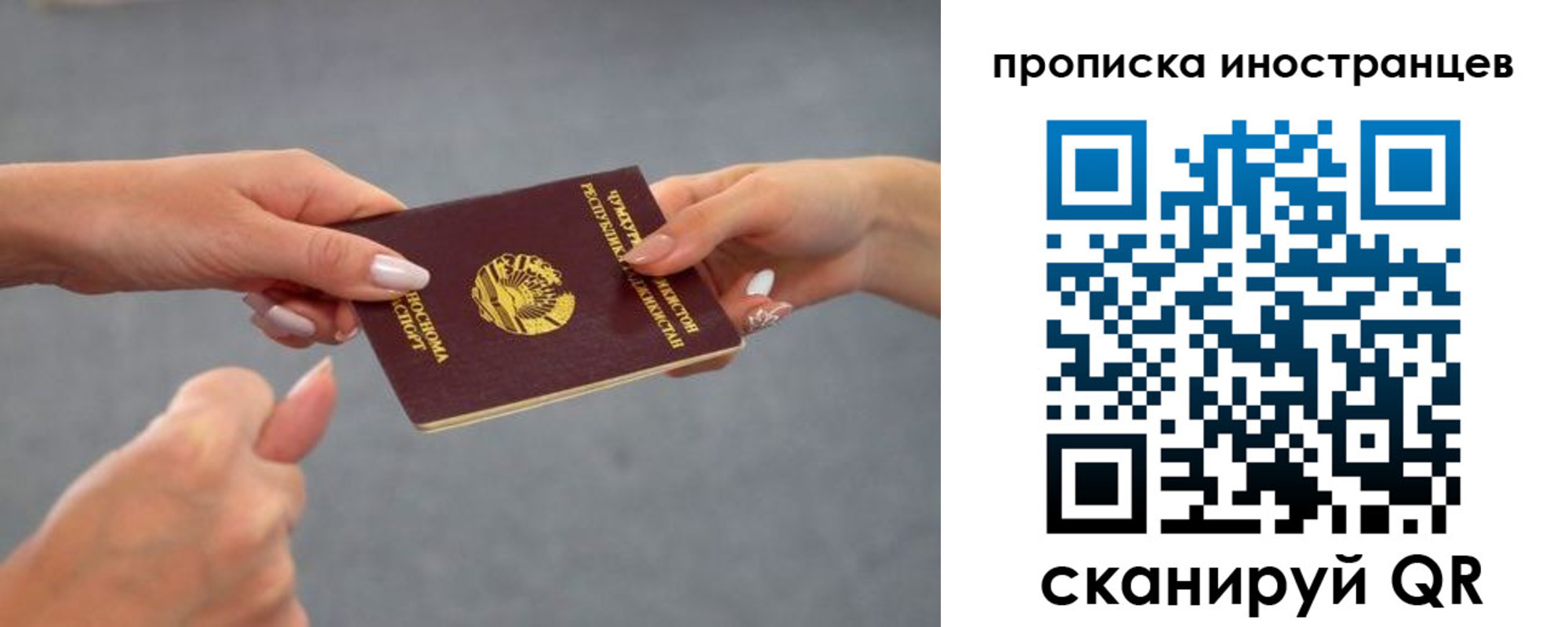 где прописаться в Павловском Посаде